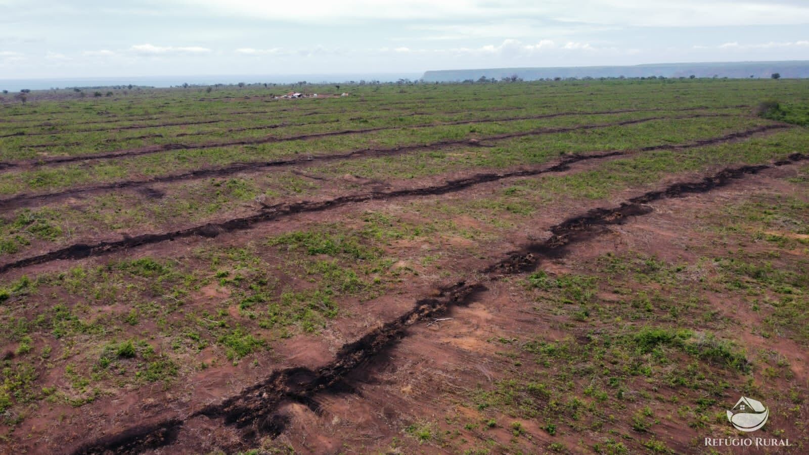 Fazenda à venda com 2 quartos, 18000000m² - Foto 4