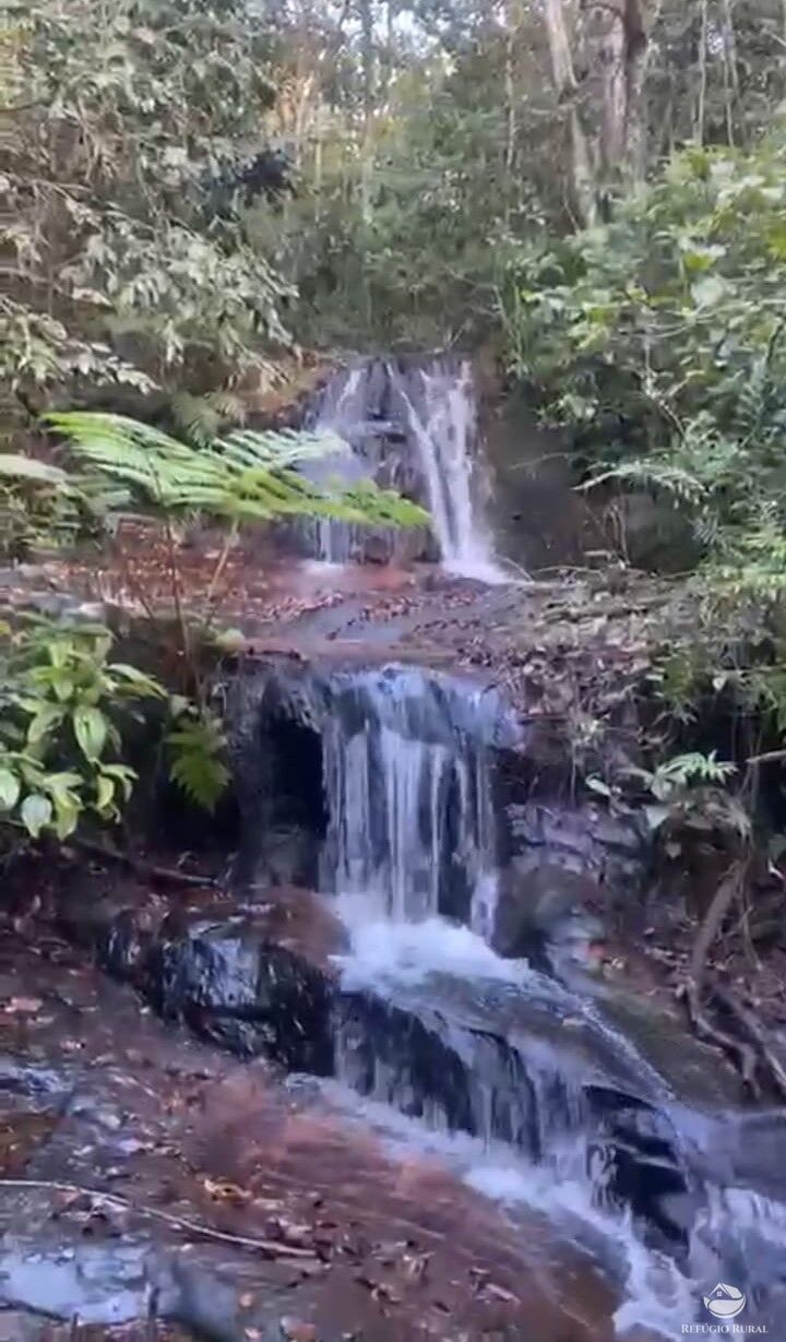 Fazenda à venda com 1 quarto, 8500000m² - Foto 2