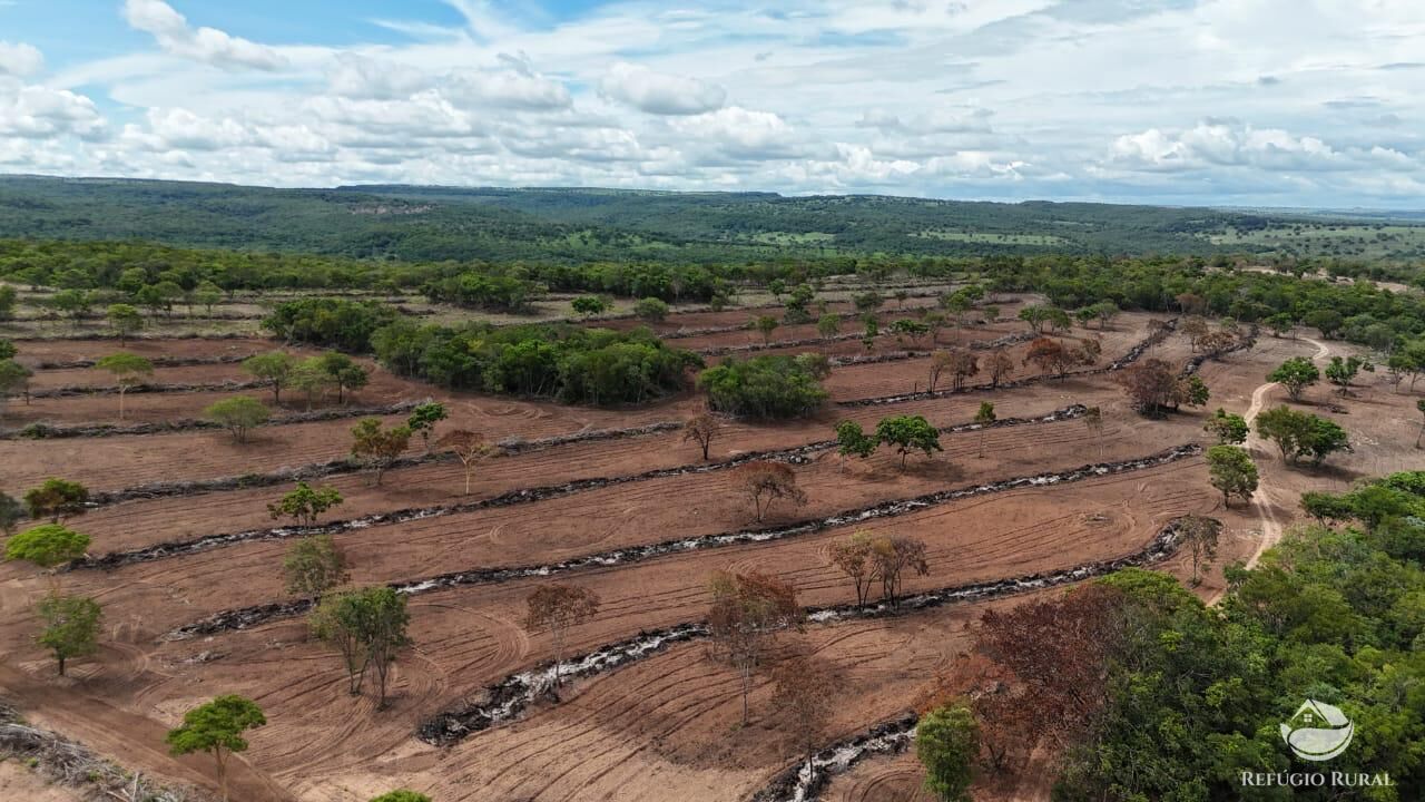 Fazenda à venda com 1 quarto, 8500000m² - Foto 13