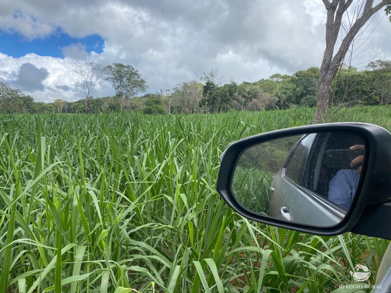 Fazenda à venda com 1 quarto, 8500000m² - Foto 7