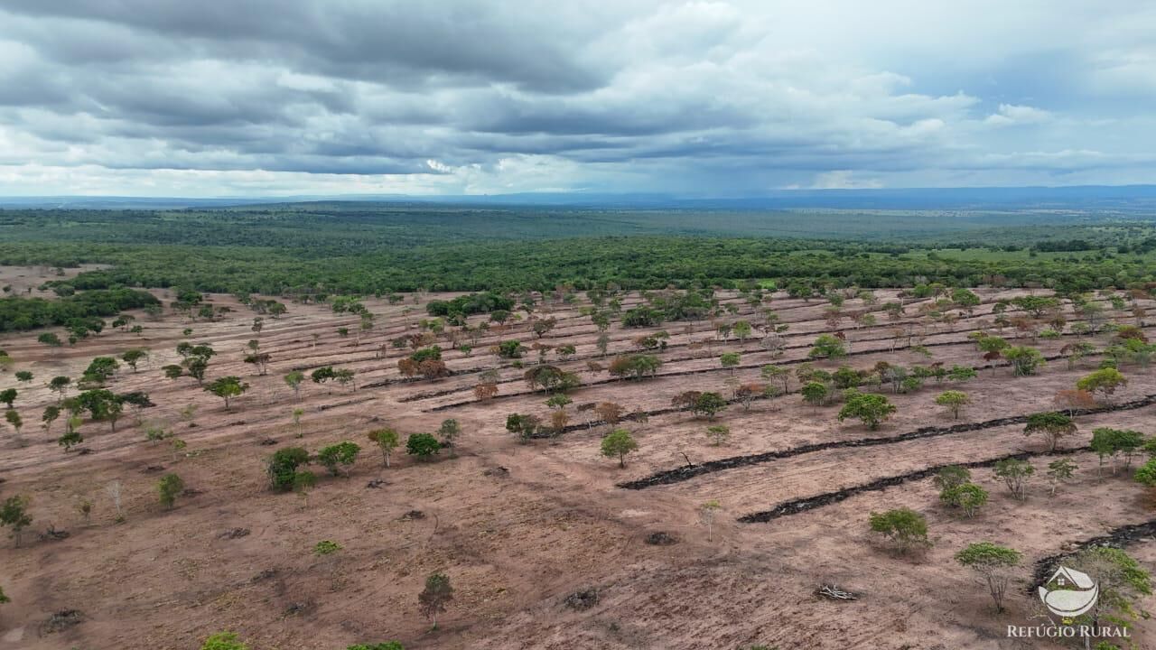 Fazenda à venda com 1 quarto, 8500000m² - Foto 6