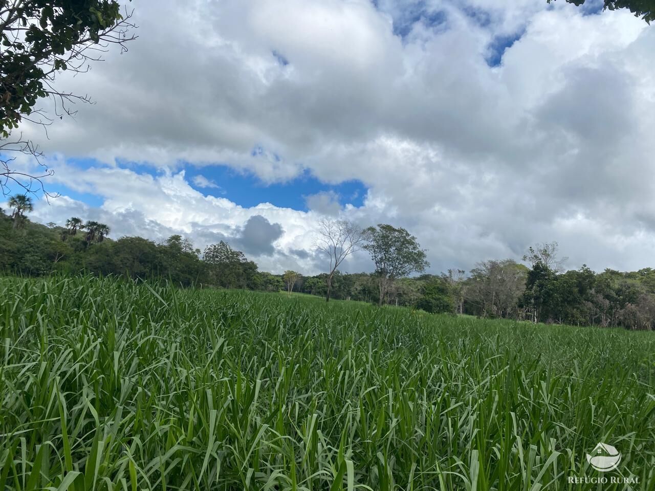 Fazenda à venda com 1 quarto, 8500000m² - Foto 3