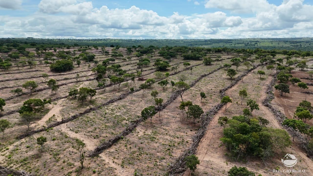 Fazenda à venda com 1 quarto, 8500000m² - Foto 14