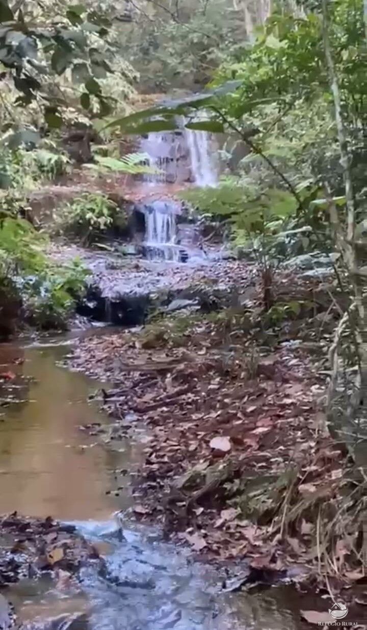 Fazenda à venda com 1 quarto, 8500000m² - Foto 16