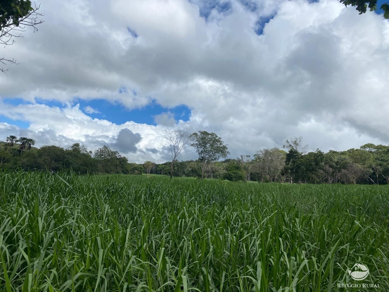 Fazenda à venda com 1 quarto, 8500000m² - Foto 9