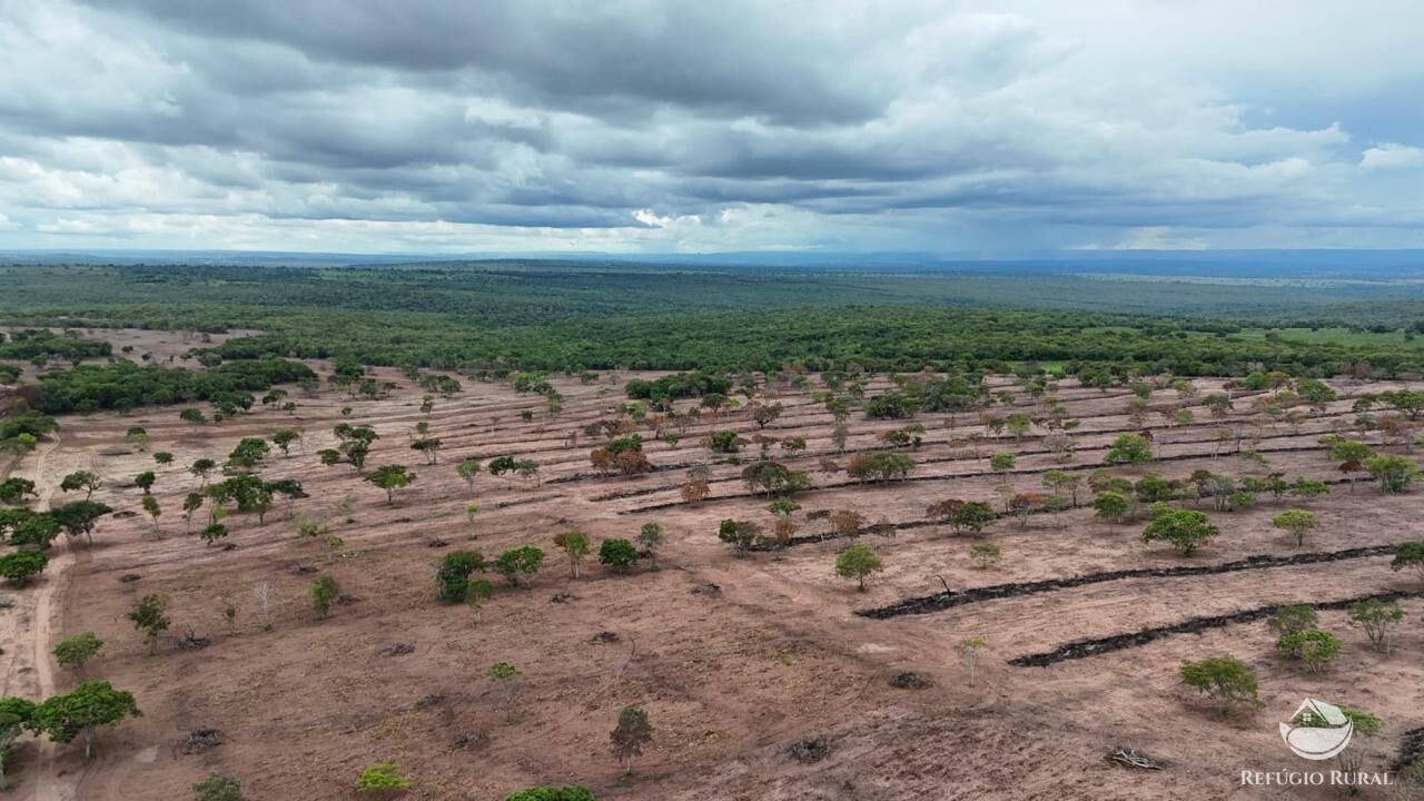 Fazenda à venda com 1 quarto, 8500000m² - Foto 5