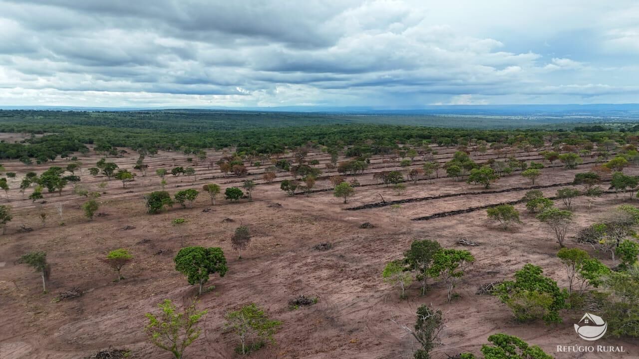 Fazenda à venda com 1 quarto, 8500000m² - Foto 1