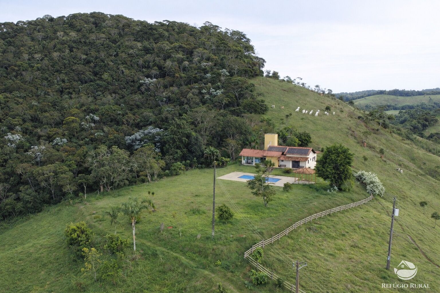 Chácara, 3 quartos, 31 hectares - Foto 2