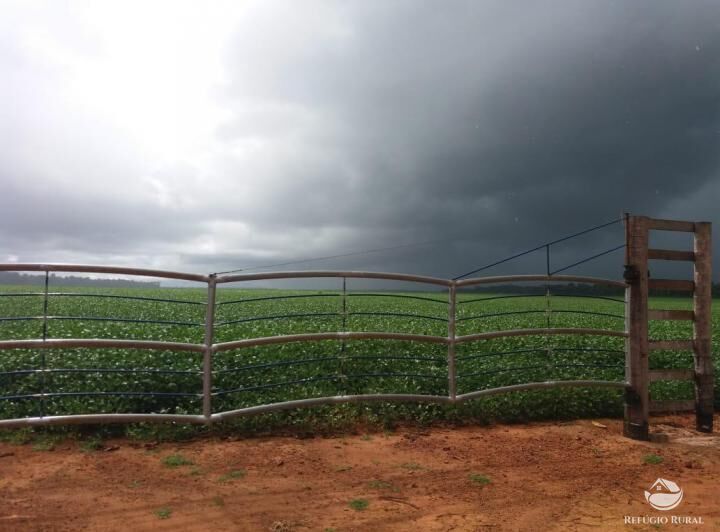 Fazenda em Sinop/Mato Grosso — Ref 73D73T — Imagem 7