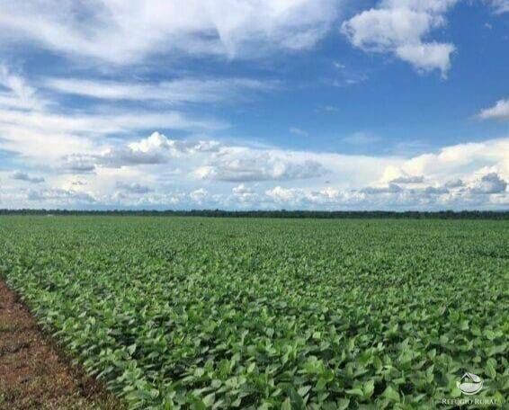 Fazenda em Sinop/Mato Grosso — Ref 73D73T — Imagem 4