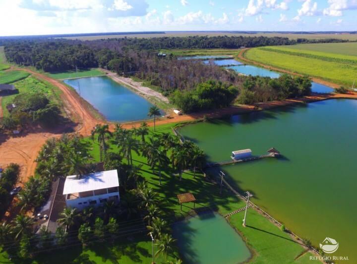Fazenda em Sinop/Mato Grosso — Ref 73D73T — Imagem 3
