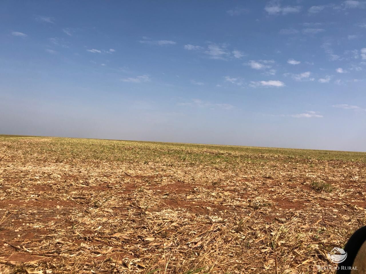 Fazenda em Sinop/Mato Grosso — Ref 73D73T — Imagem 8