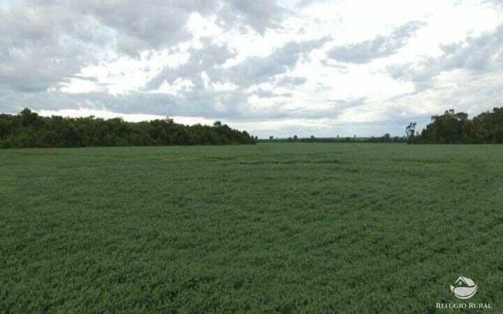 Fazenda em Sinop/Mato Grosso — Ref 73D73T — Imagem 5
