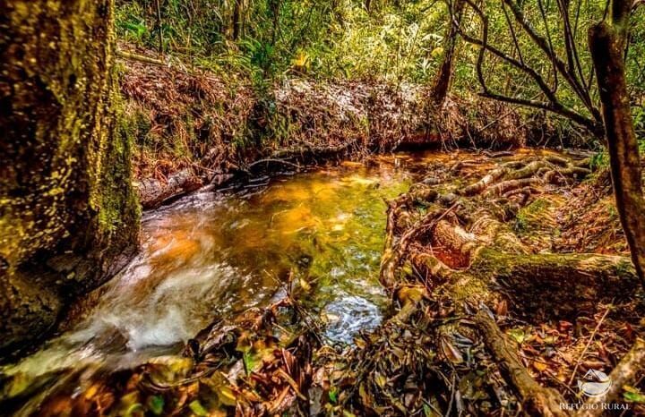 Fazenda, 171 hectares - Foto 7