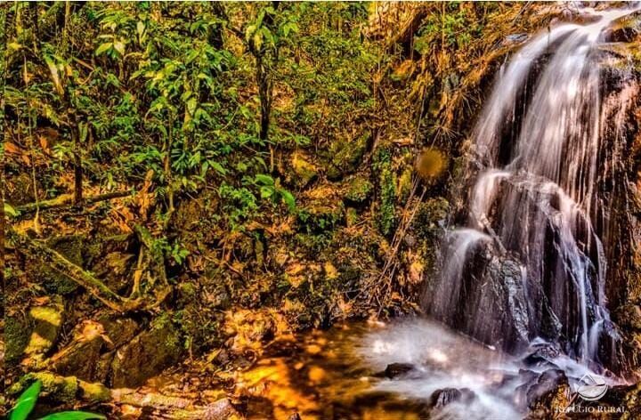 Fazenda, 171 hectares - Foto 8