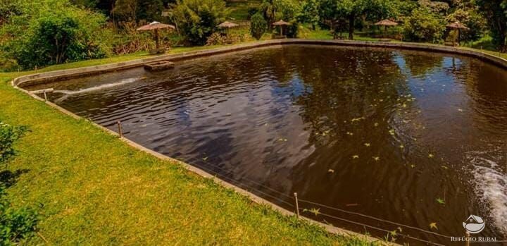 Fazenda, 171 hectares - Foto 6