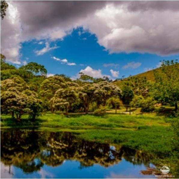 Fazenda, 171 hectares - Foto 4