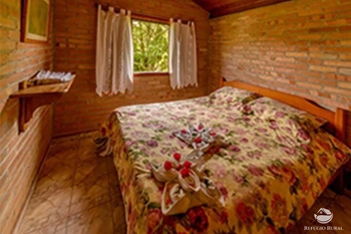 Fazenda, 171 hectares - Foto 10