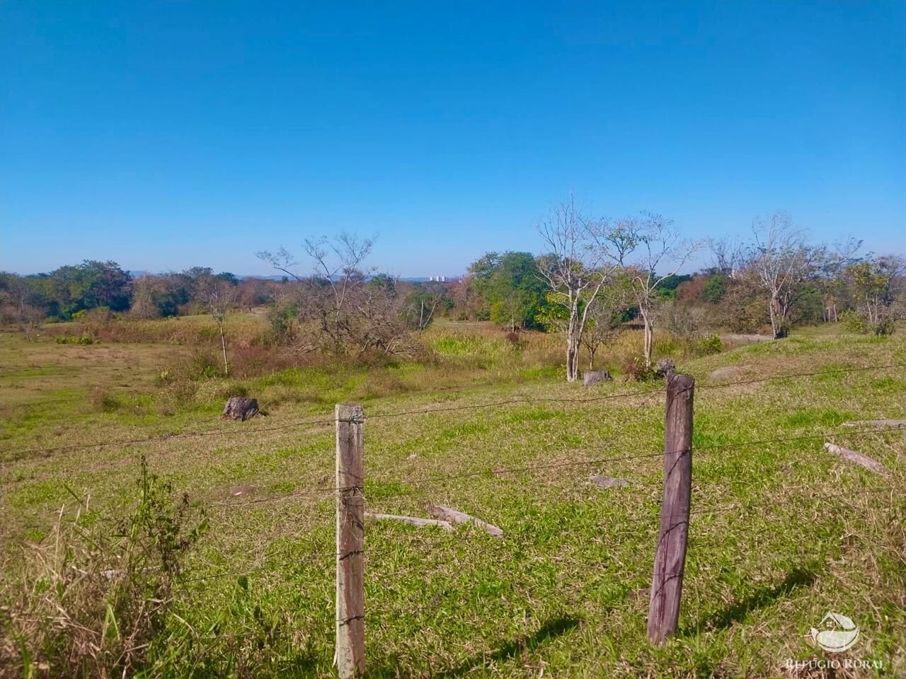 Fazenda à venda com 1 quarto, 1113200m² - Foto 15