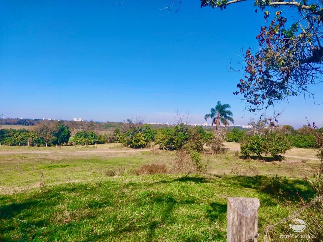 Fazenda à venda com 1 quarto, 1113200m² - Foto 5