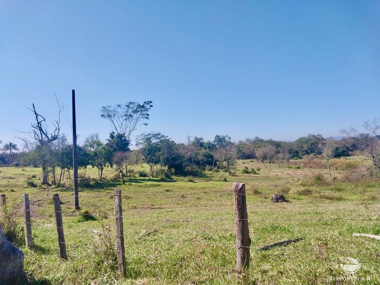 Fazenda à venda com 1 quarto, 1113200m² - Foto 16
