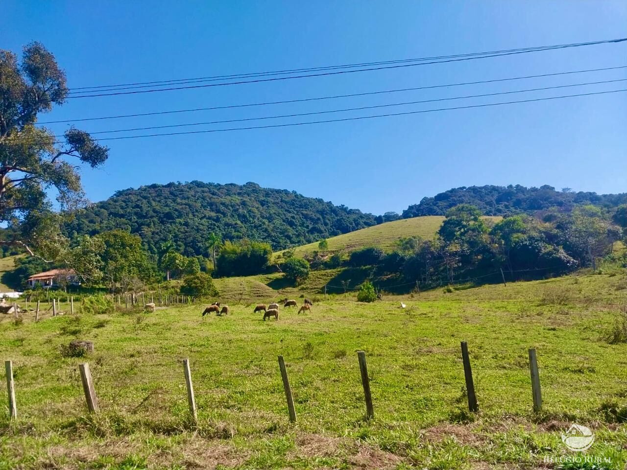 Fazenda à venda com 1 quarto, 1113200m² - Foto 4