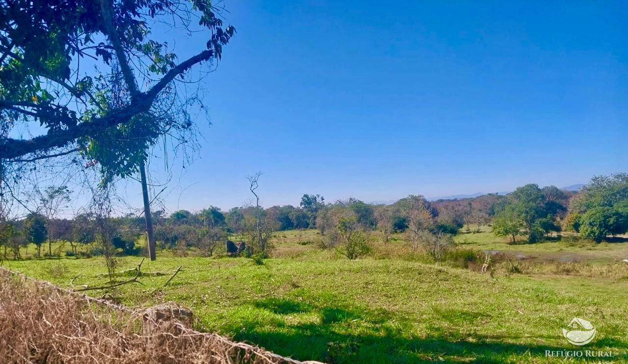 Fazenda à venda com 1 quarto, 1113200m² - Foto 6