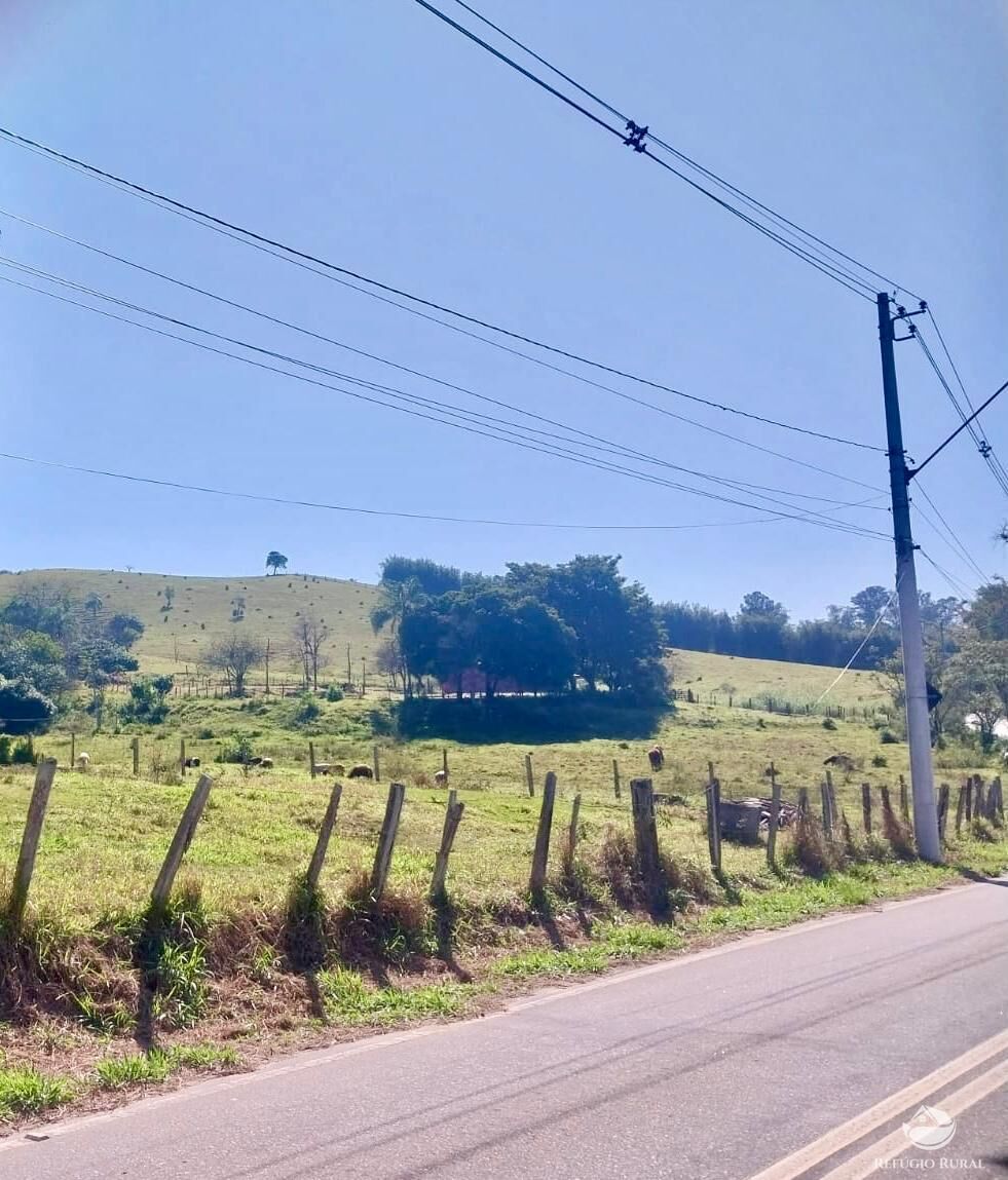 Fazenda à venda com 1 quarto, 1113200m² - Foto 18