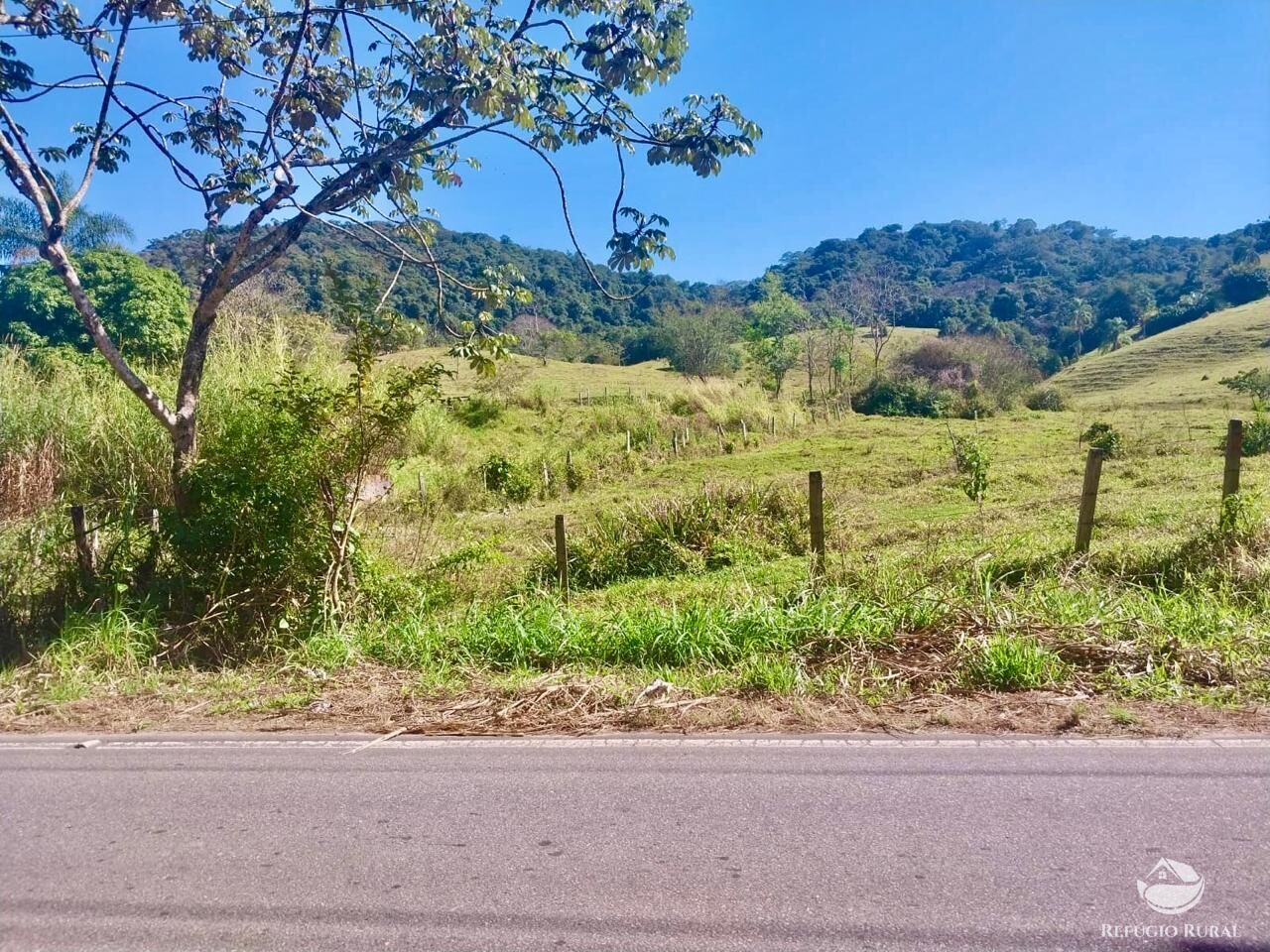 Fazenda à venda com 1 quarto, 1113200m² - Foto 10