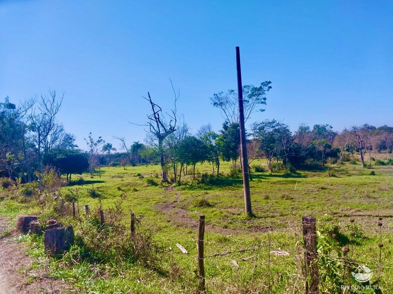Fazenda à venda com 1 quarto, 1113200m² - Foto 12