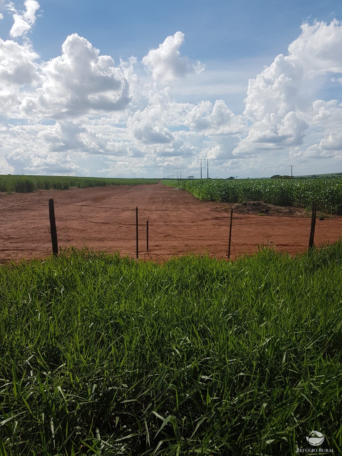 Fazenda à venda com 2 quartos, 34000000m² - Foto 3