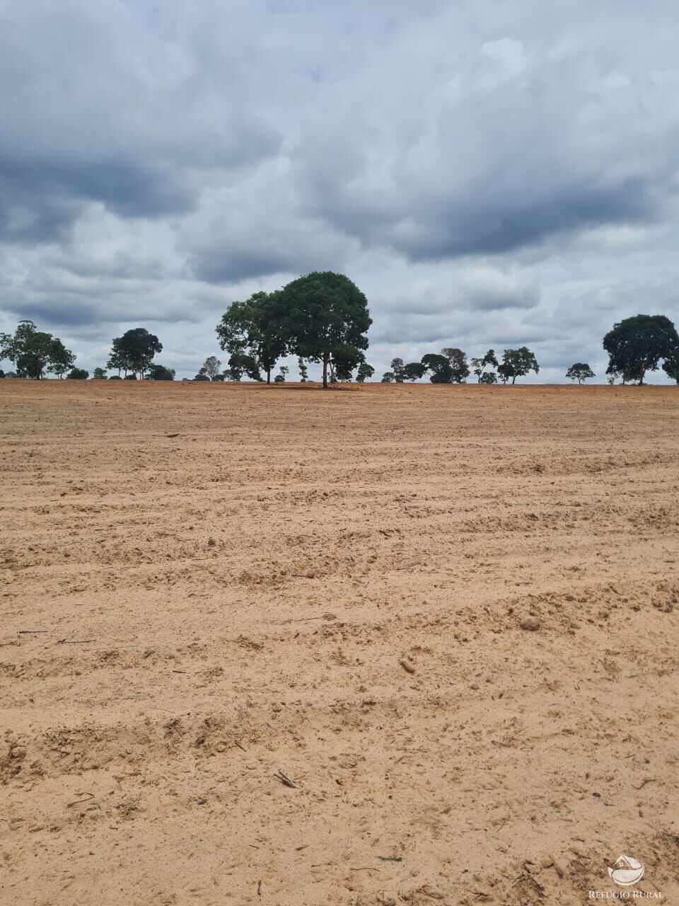 Fazenda à venda com 2 quartos, 34000000m² - Foto 7