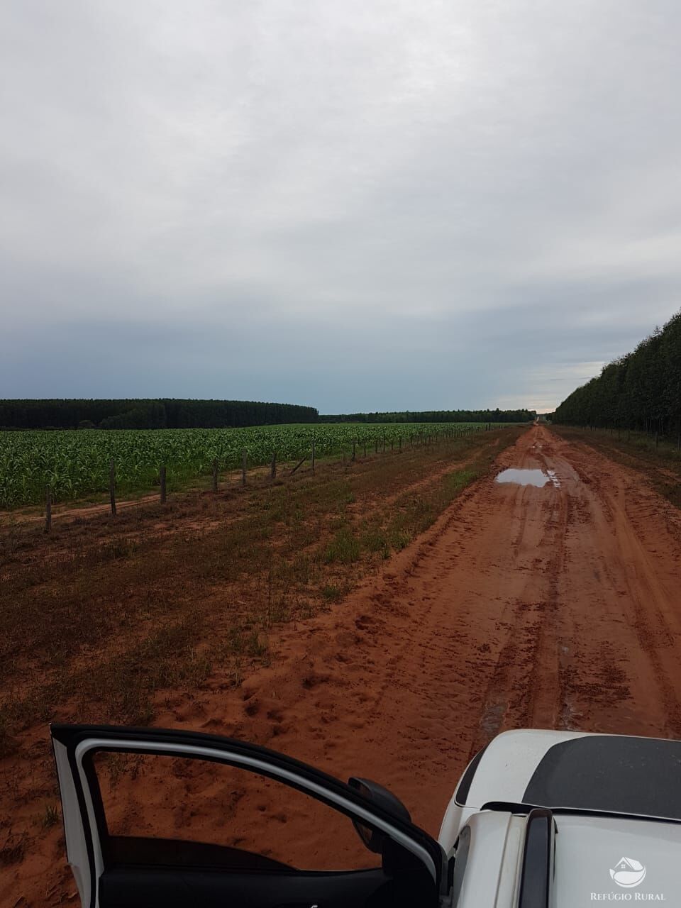 Fazenda à venda com 2 quartos, 34000000m² - Foto 12