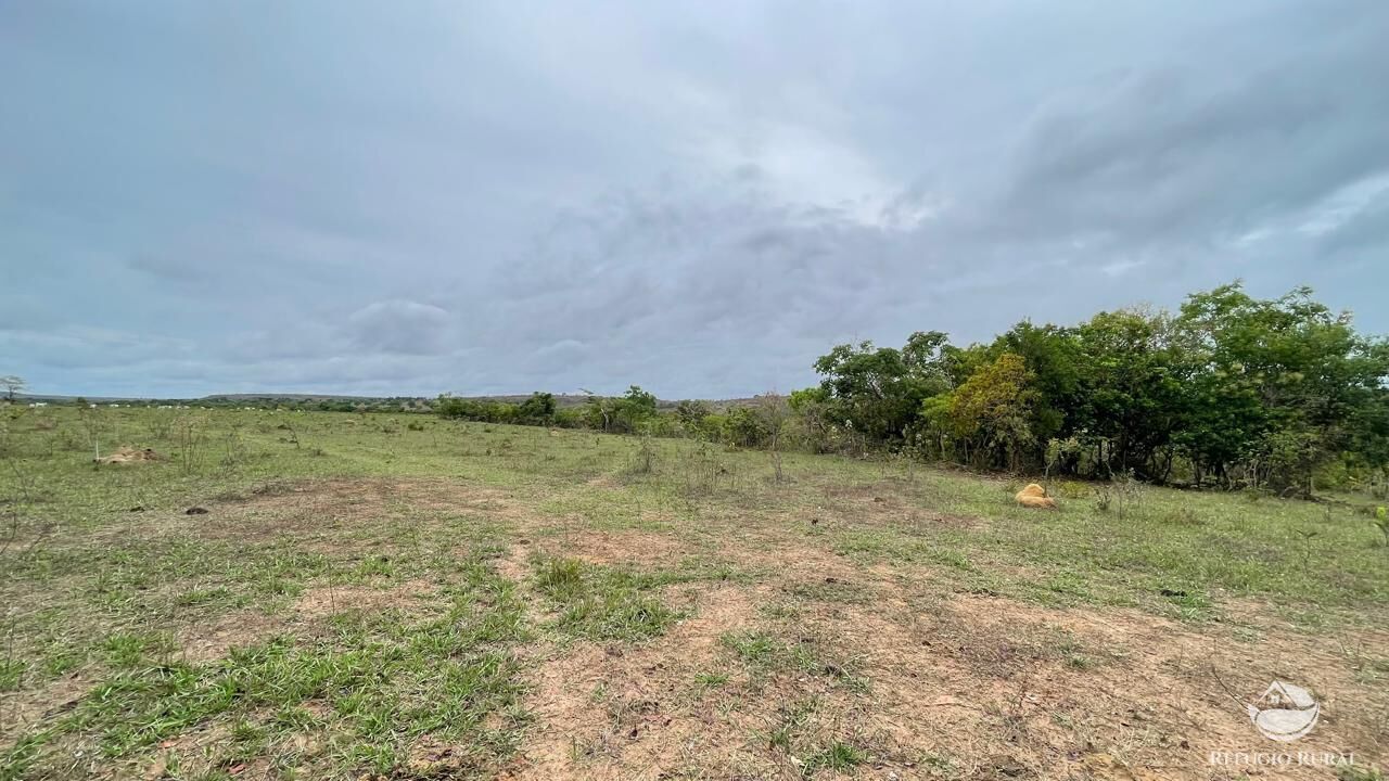 Fazenda à venda com 2 quartos, 34000000m² - Foto 9