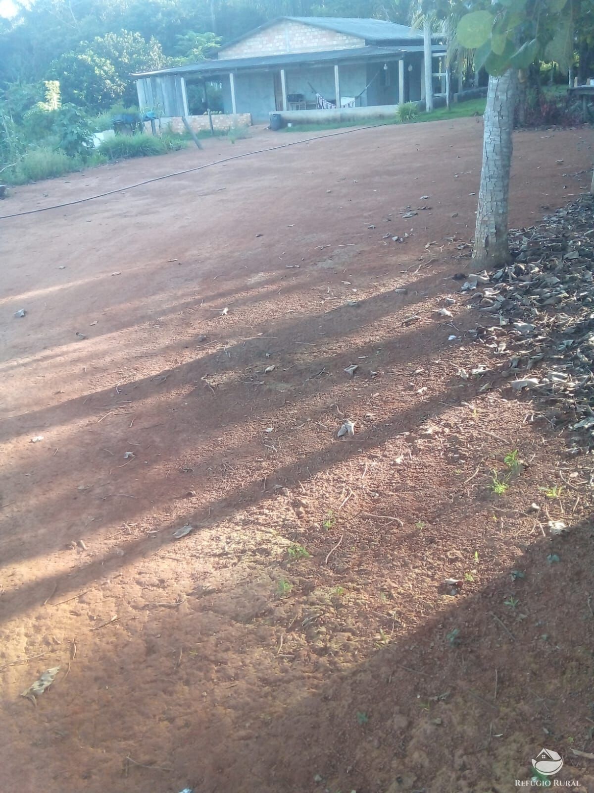 Fazenda, 50 hectares - Foto 4