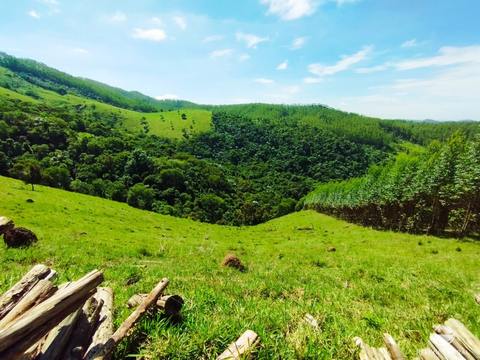 Fazenda à venda com 1 quarto, 290400m² - Foto 6