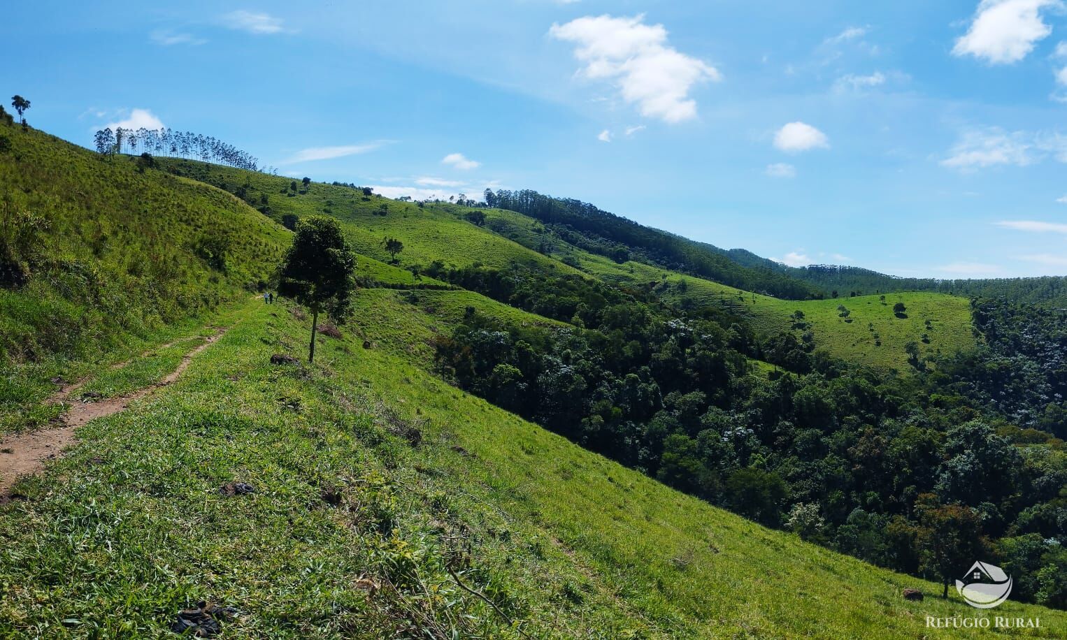 Fazenda à venda com 1 quarto, 290400m² - Foto 9