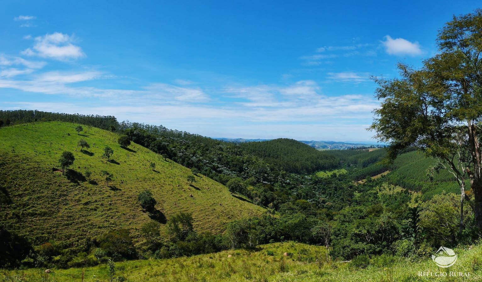 Fazenda à venda com 1 quarto, 290400m² - Foto 1