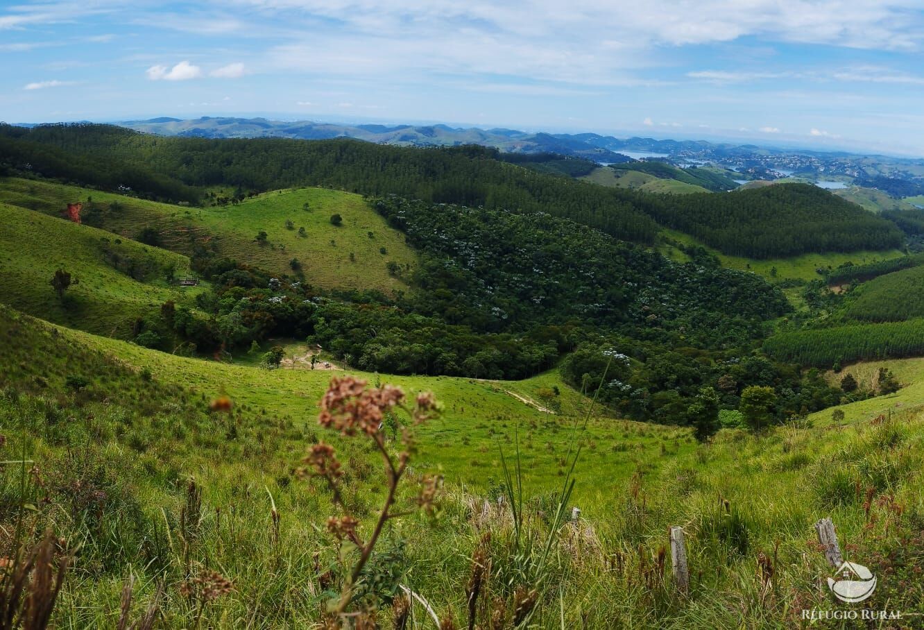 Fazenda à venda com 1 quarto, 290400m² - Foto 13