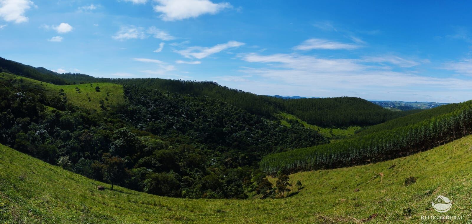 Fazenda à venda com 1 quarto, 290400m² - Foto 4