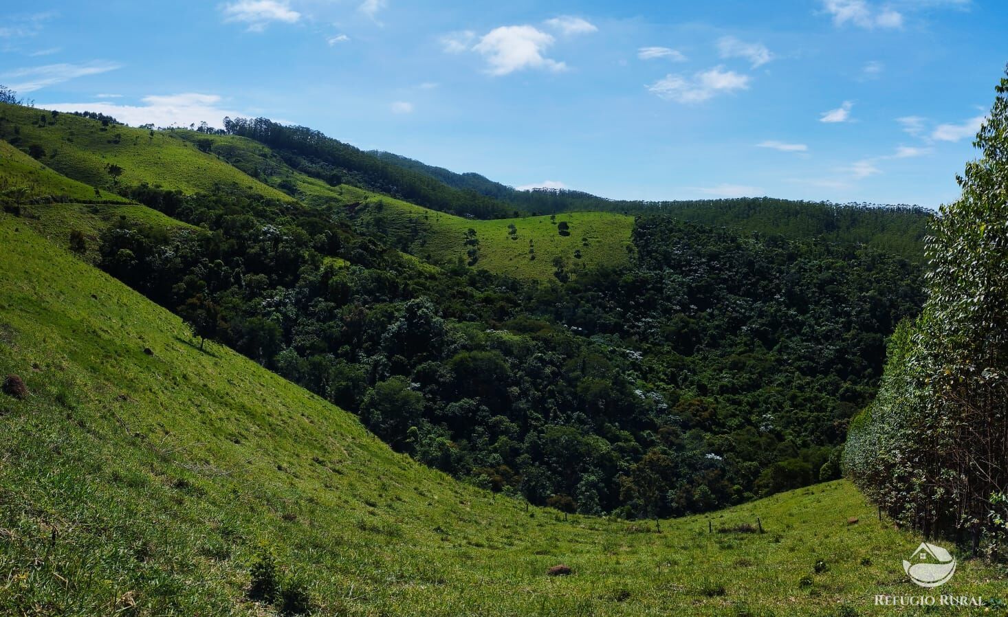 Fazenda à venda com 1 quarto, 290400m² - Foto 8