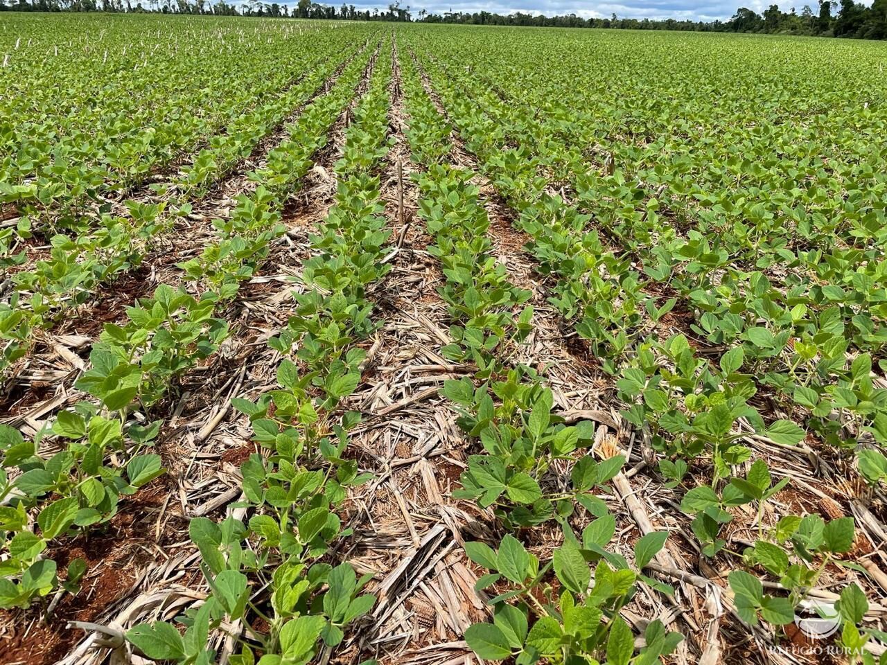 Fazenda à venda com 2 quartos, 18600000m² - Foto 9