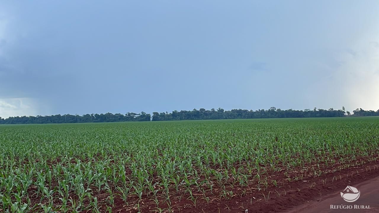 Fazenda à venda com 2 quartos, 18600000m² - Foto 8