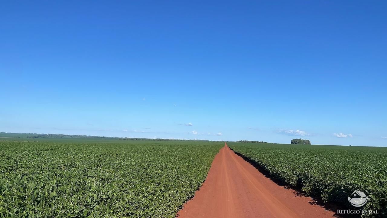 Fazenda à venda com 2 quartos, 18600000m² - Foto 5