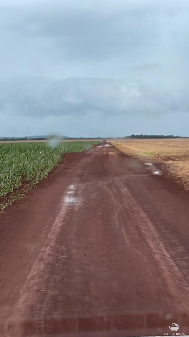 Fazenda à venda com 2 quartos, 18600000m² - Foto 11