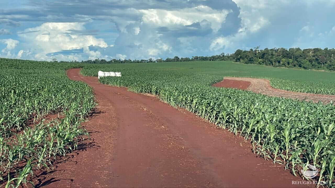 Fazenda à venda com 2 quartos, 18600000m² - Foto 3