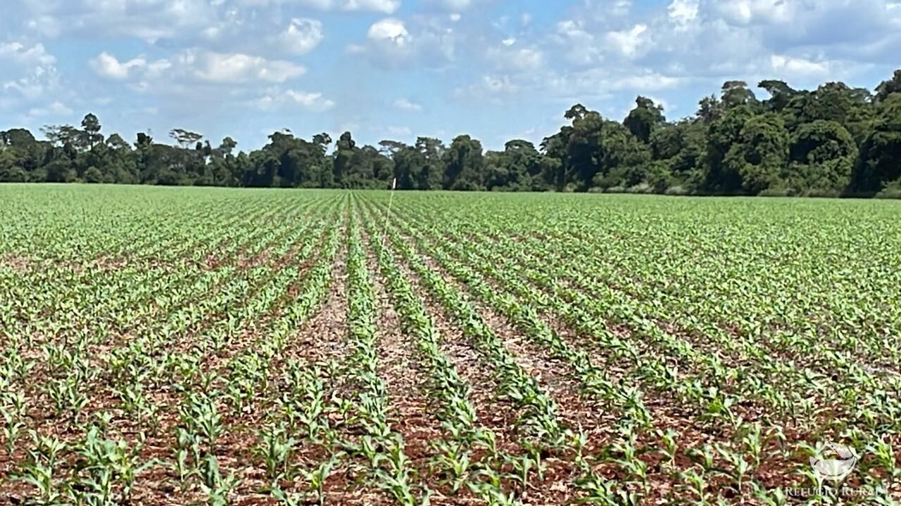 Fazenda à venda com 2 quartos, 18600000m² - Foto 2