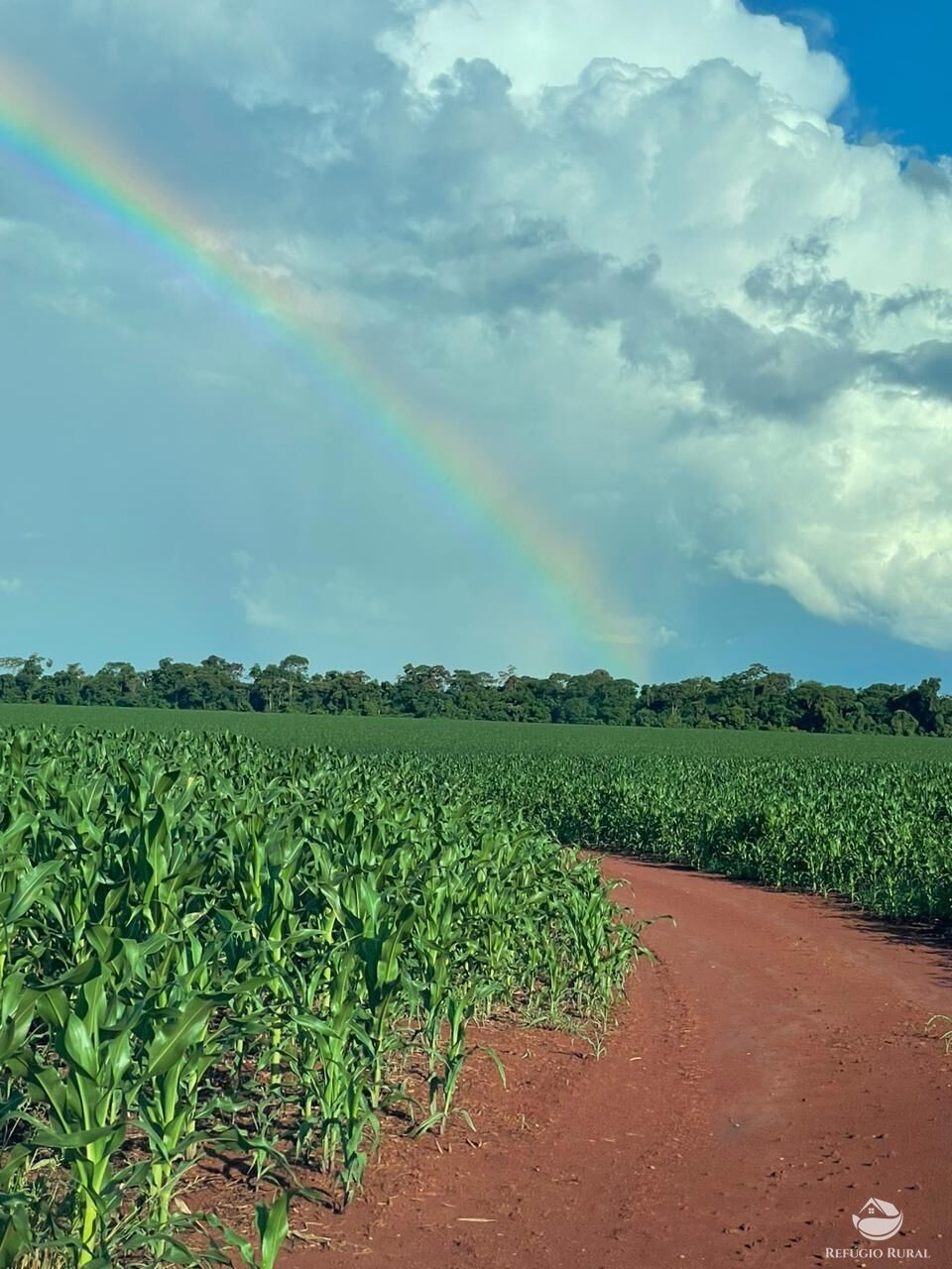 Fazenda à venda com 2 quartos, 18600000m² - Foto 4