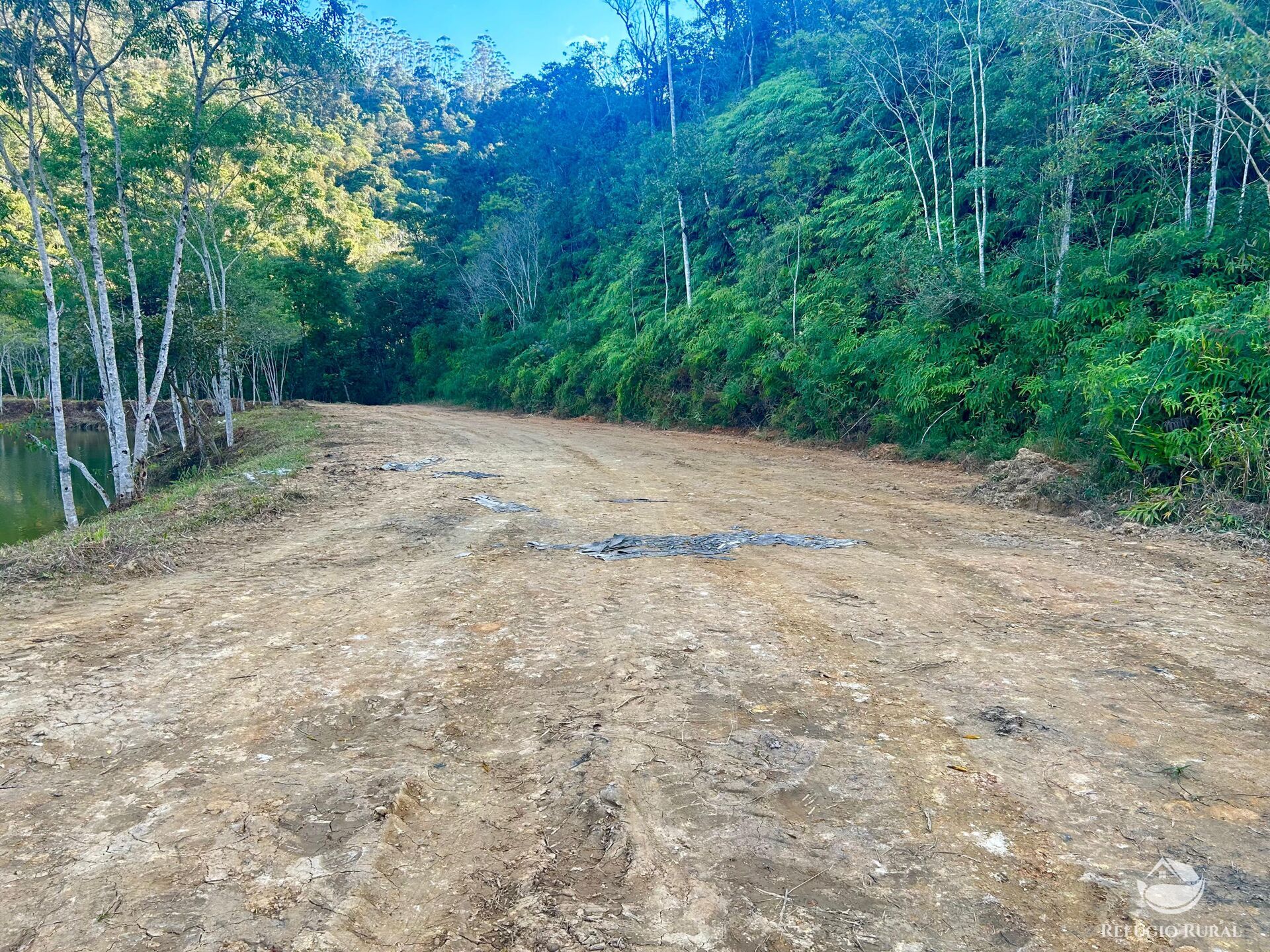 Terreno à venda, 20000m² - Foto 15