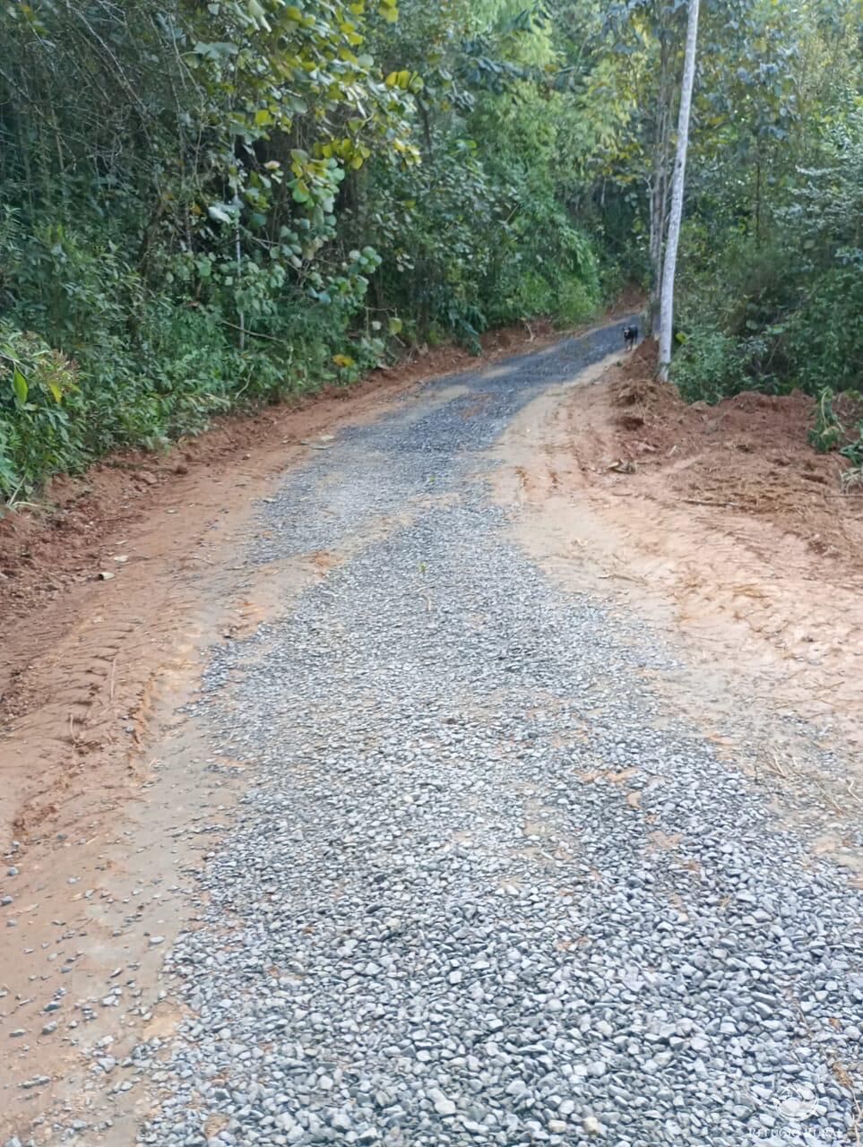 Terreno à venda, 20000m² - Foto 11